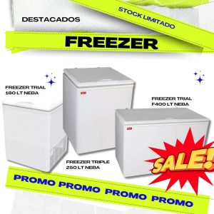 Freezer Trial F250 250 Lt Neba - Image 2
